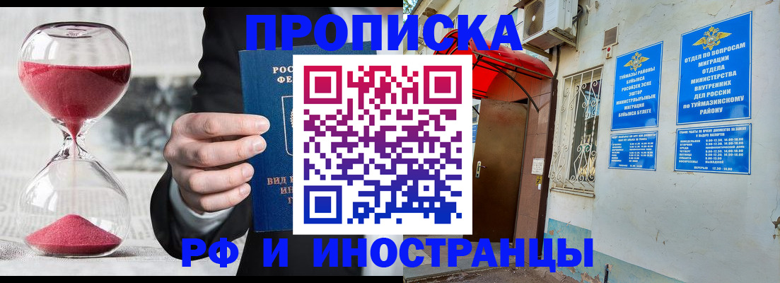 прописка 2025 в Михайловске